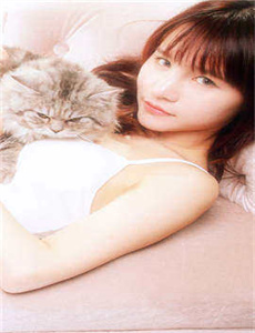 《歌舞青春2006》